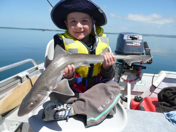 Pic: Mick Fletoridis